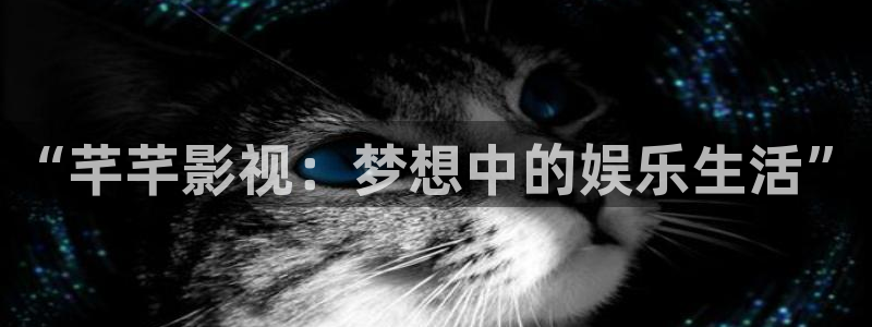 西瓜视频免费下