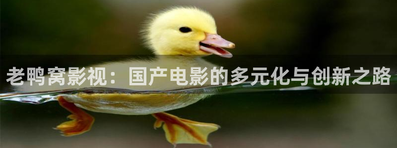 理论电影西瓜