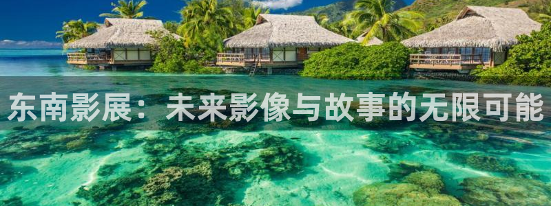 寻秦记电影版免费观看西瓜