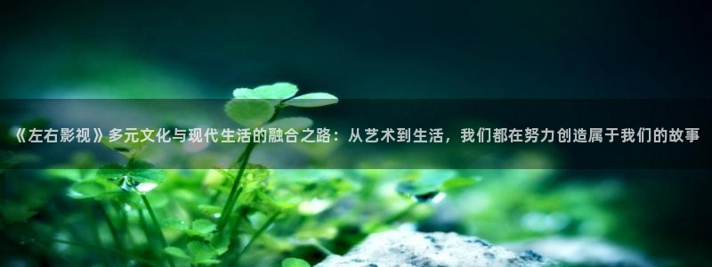 西瓜视频西瓜影院在线观看