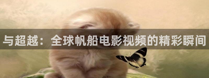 长相思一季免费播放在线观看西瓜