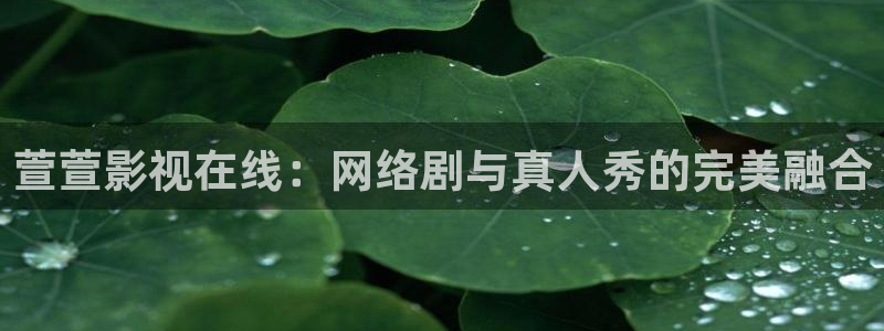 红娘子电视剧西瓜影院