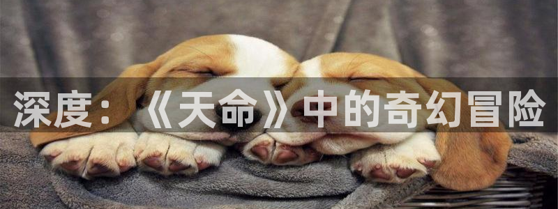 西瓜视频免费看电视剧