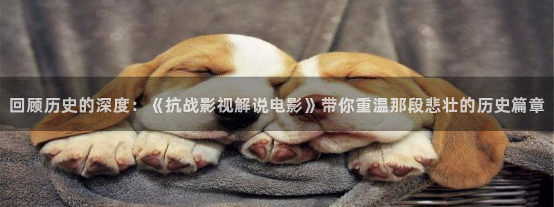 在线免费观看西瓜影院