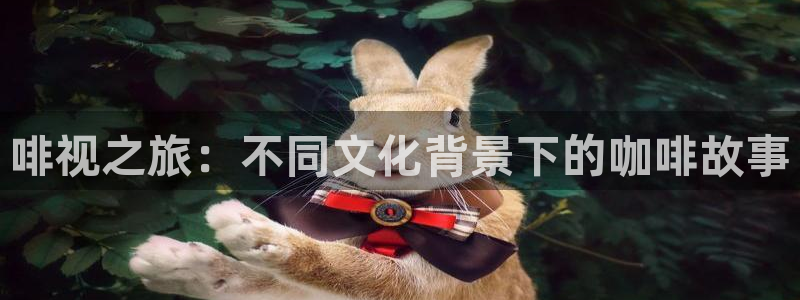 西瓜影院光棍
