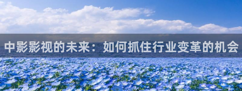 西瓜影院网址