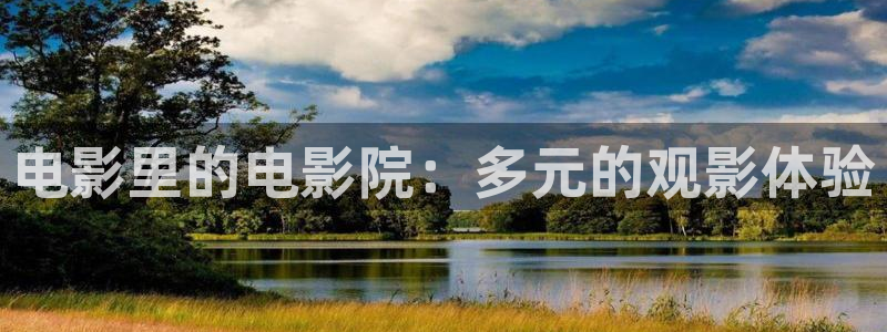 我要看西瓜视频