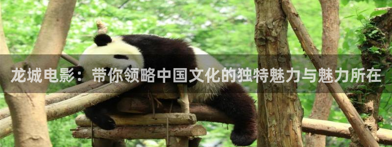 视频西瓜