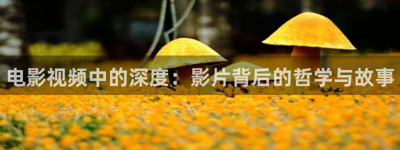 西瓜电影免费入口