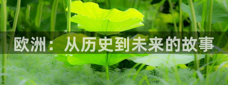 西瓜影院免费观看国产电视剧：欧洲：从历史到未来的故事
