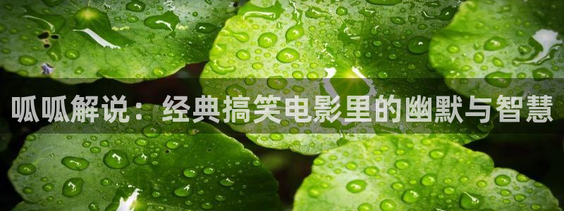 西瓜看球免费观看