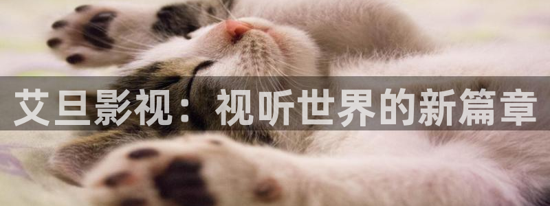 西瓜影院大全免费观看
