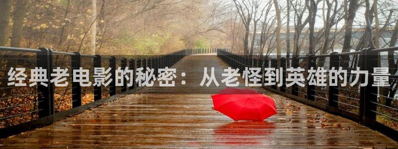 我们不能是朋友西瓜免费观看