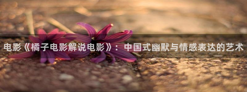 西瓜影院播放器