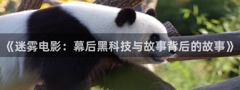 西瓜影影视大全