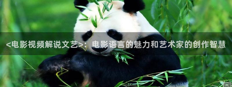 西瓜网站在线观看免费高清电视剧