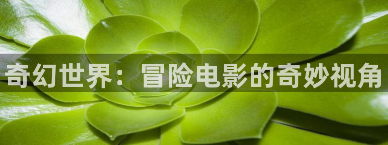 西瓜午夜电影网
