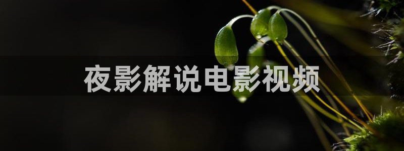 西瓜看球在线免费观看