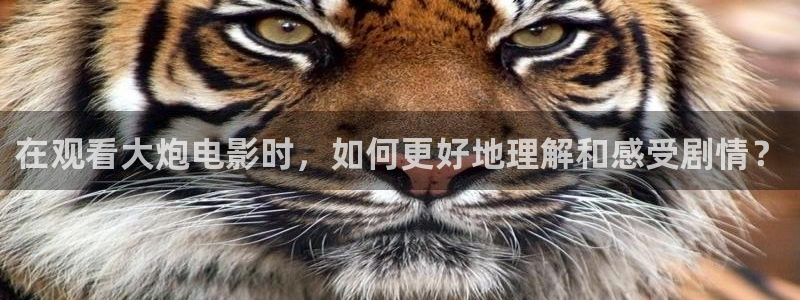 琪琪影院西瓜