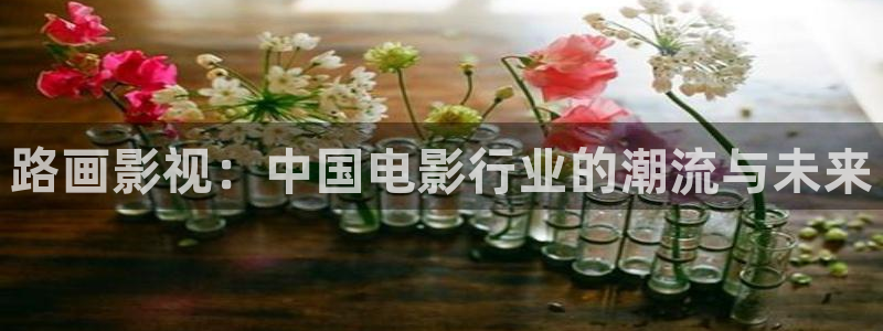 西瓜在线网
