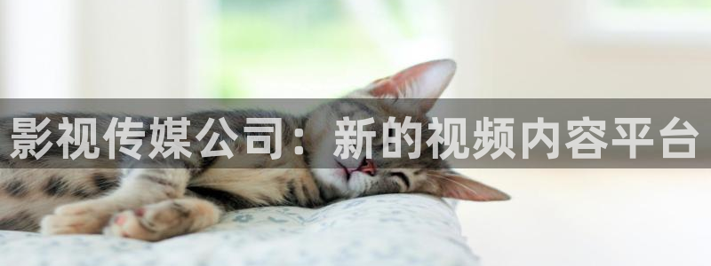 巡回检察组西瓜影院