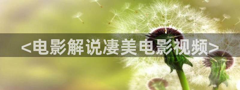 大西瓜电影