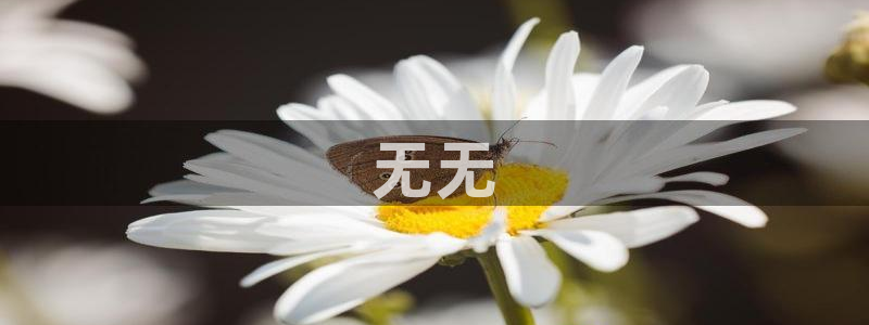 当我飞奔向你在线西瓜