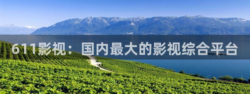 西瓜牌