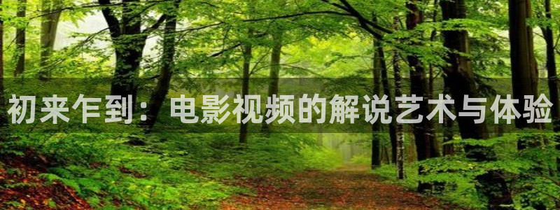 全职高手西瓜影院
