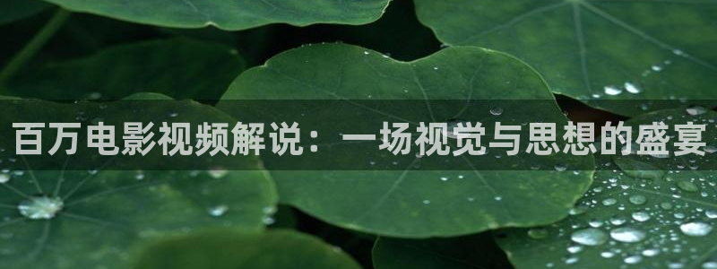 西瓜影院理论电影理论