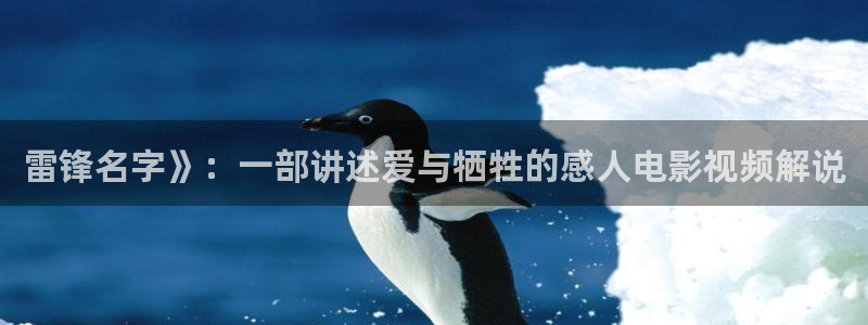 宫锁珠帘免费观看全集在线观看高清西瓜