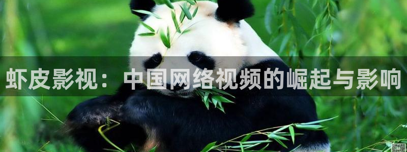 我凭本事单身免费观看完整版西瓜