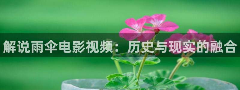 西瓜,影视