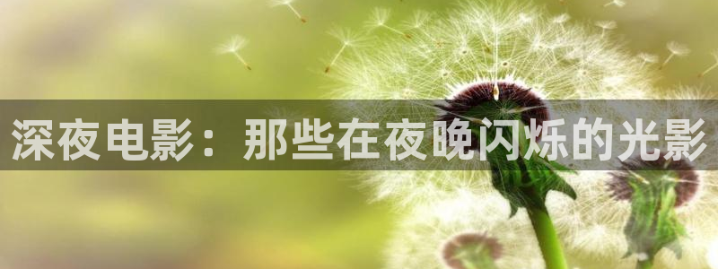 西瓜影院星辰