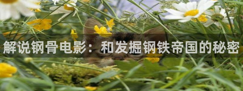 西瓜影院西瓜影音官网