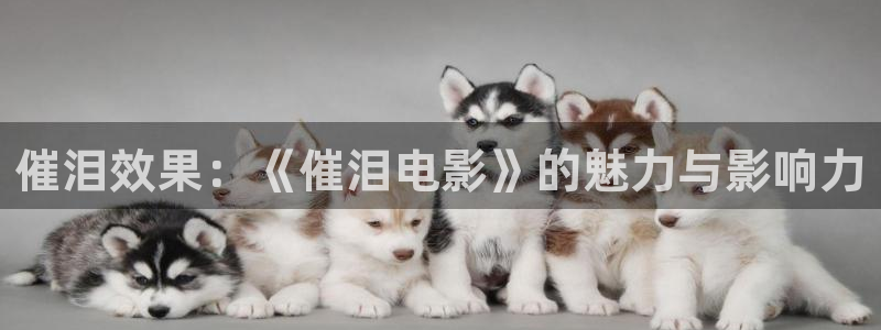 外西瓜