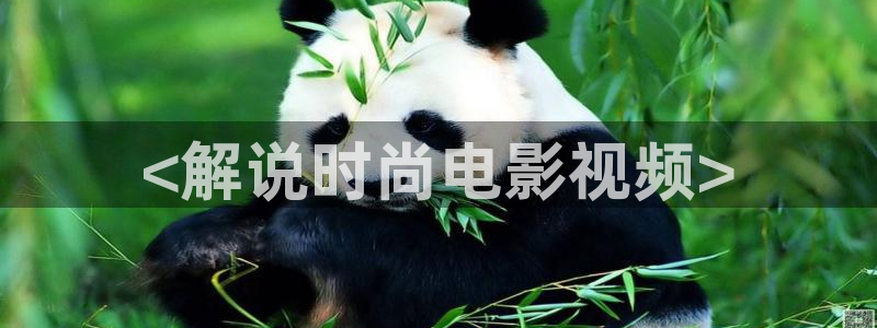 西瓜午夜电影网