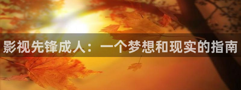 西瓜影院星辰