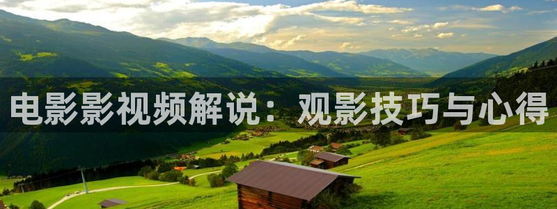 在线观看西瓜