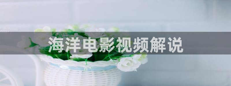 西瓜影院在线观看免费高清电视剧
