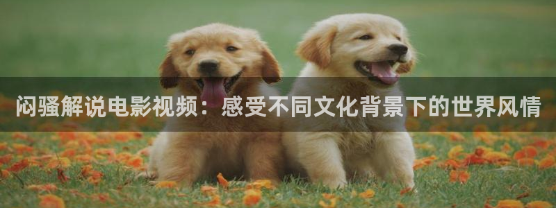 特战行动免费观看西瓜