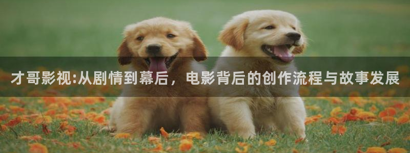 爵迹电影在线观看完整版高清西瓜