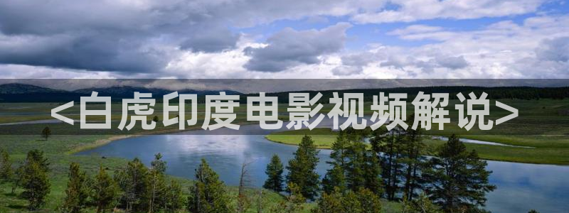 西瓜视频正版