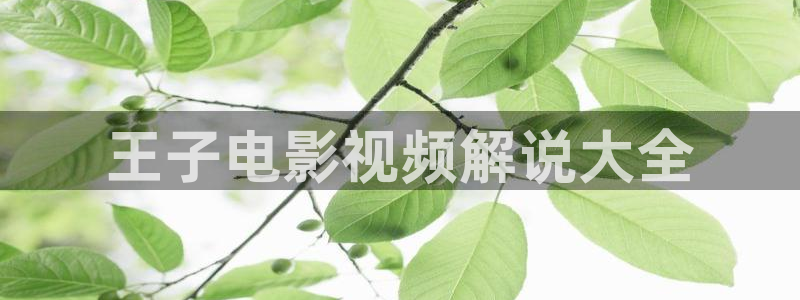 西瓜影院app版下载：王子电影视频解说大全