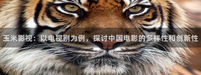 你比星光美丽免费观看西瓜