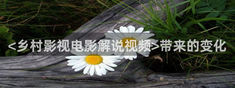 珠江人家西瓜影院