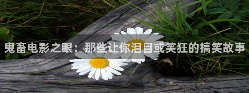 绝密使命全集在线观看西瓜
