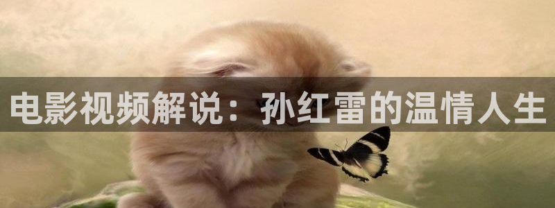 谈判官免费观看完整版西瓜