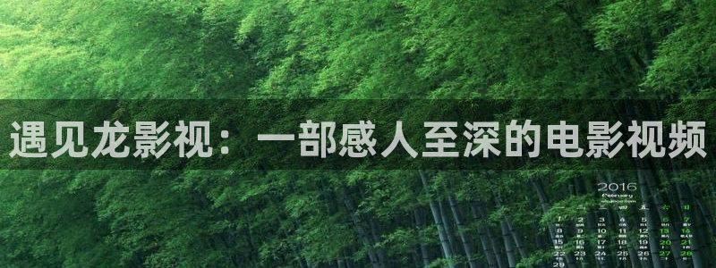 西瓜影院免费观看电视剧电影