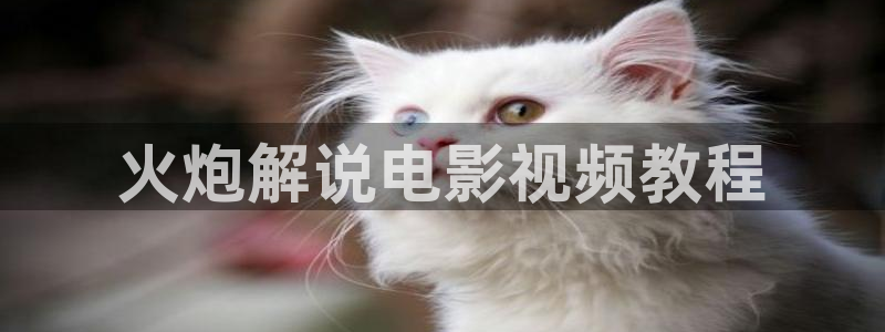 西瓜影视在线